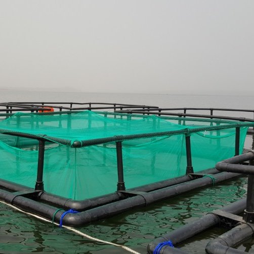 Qihang brand Floating Fish Cage for Strong Current River