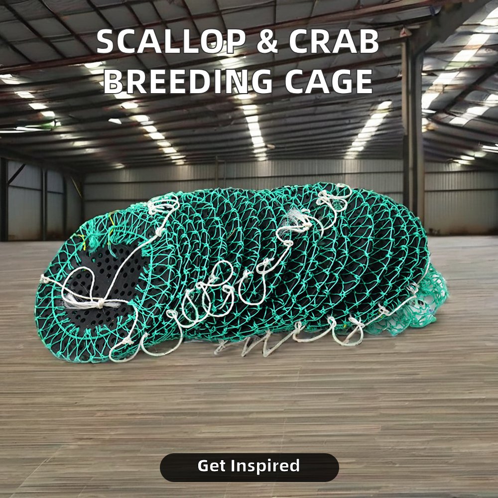 Multifilament Agricultural Scallop Cage for Farmed Conch Crab Breeding Aquaculture Live Trap Fishing Shellfish/ Pearl