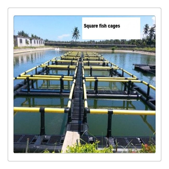 HDPE fish farming net aquaculture cage floating equipment for tilapia