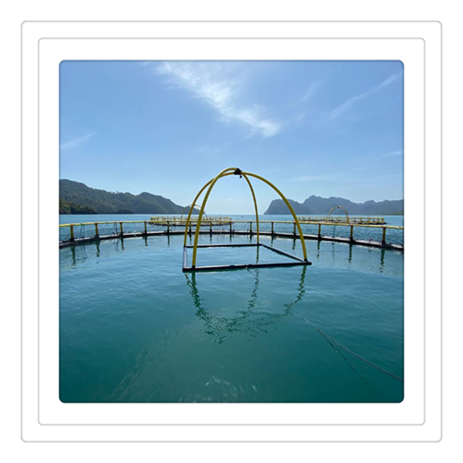 HDPE fish farming net aquaculture cage floating equipment for tilapia