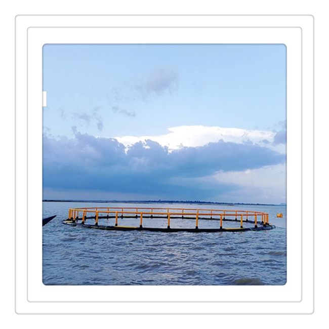 HDPE fish farming net aquaculture cage floating equipment for tilapia