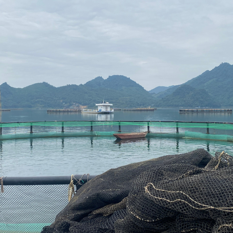 Pisciculture Cage Aquaculture Cage Aquaculture Net Cage Floating Aquaculture Trap Fish Farm In Vietnam Manufacturer Hot Sale