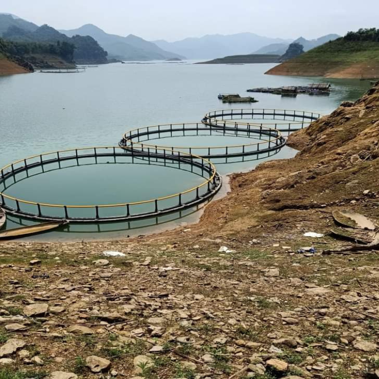 Pisciculture Cage Aquaculture Cage Aquaculture Net Cage Floating Aquaculture Trap Fish Farm In Vietnam Manufacturer Hot Sale