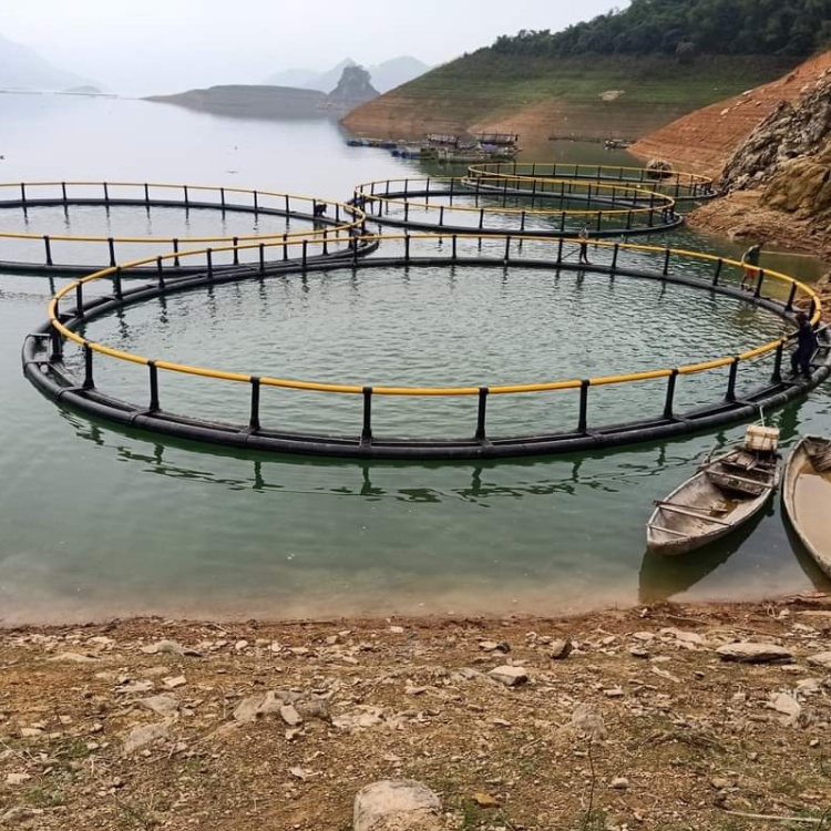 Pisciculture Cage Aquaculture Cage Aquaculture Net Cage Floating Aquaculture Trap Fish Farm In Vietnam Manufacturer Hot Sale