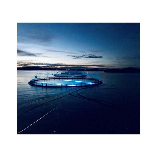 Highly Recommended Aquaculture Traps Fish Farming Cage Float For Sale fish traps