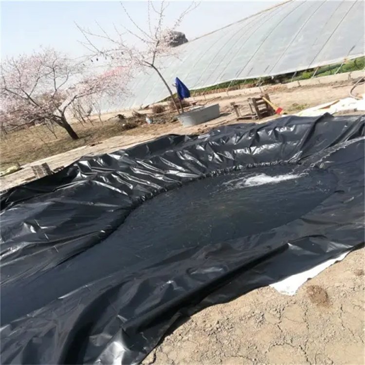 Geomembrane Reservoir Dam Fish And Shrimp aquaculture Waterproof Seepage Control Membrane 2.0mm