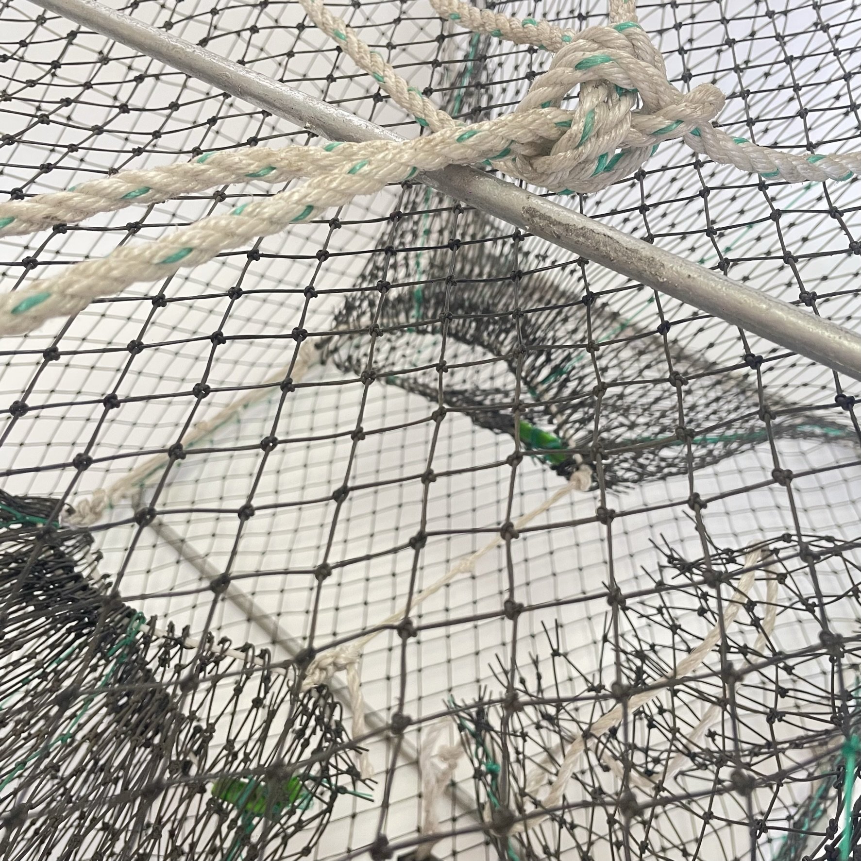 Collapsible Crab Pots Lobster Traps Fishing Net Cage Craw Fishing Traps for Big Fish