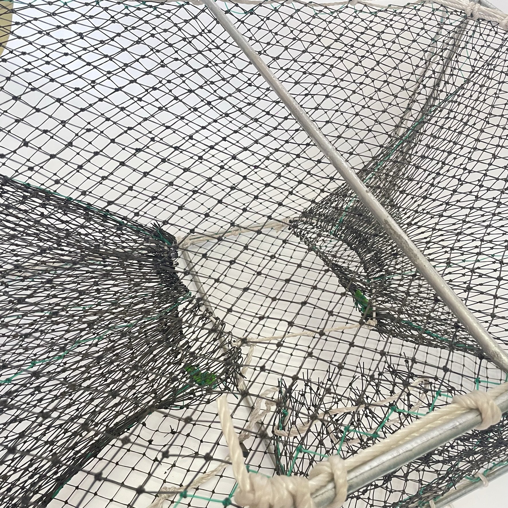 Collapsible Crab Pots Lobster Traps Fishing Net Cage Craw Fishing Traps for Big Fish
