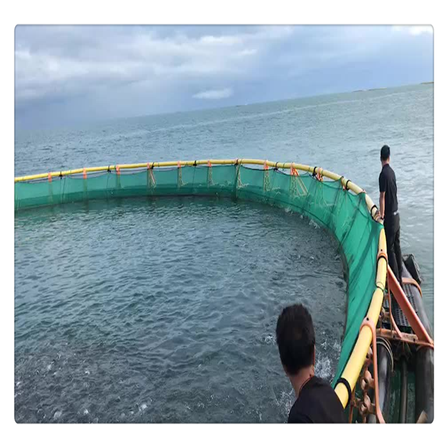 fish trap cage System square and circle cages for fish farming for tilapia
