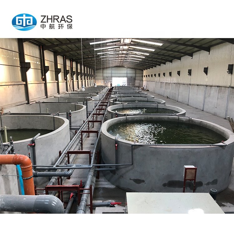 Zhonghang custom high density recirculating aquaculture systems ras prawn for fish farming