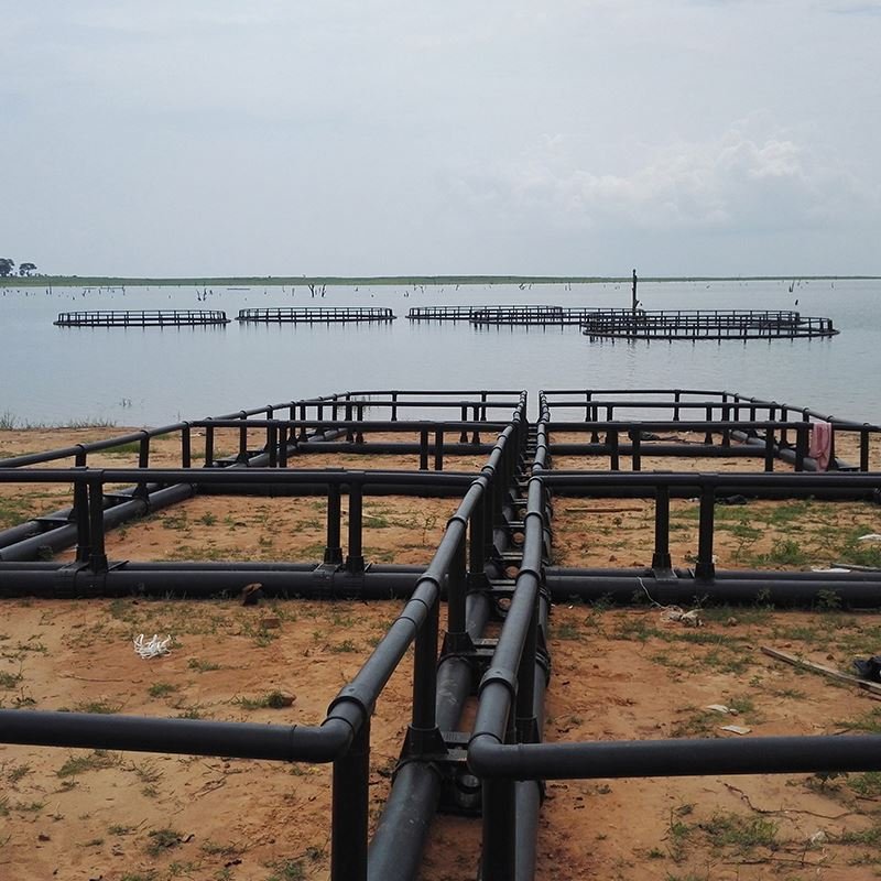 10X10 fish/farm cages Cameroon Comoros Cote d 'Ivoire