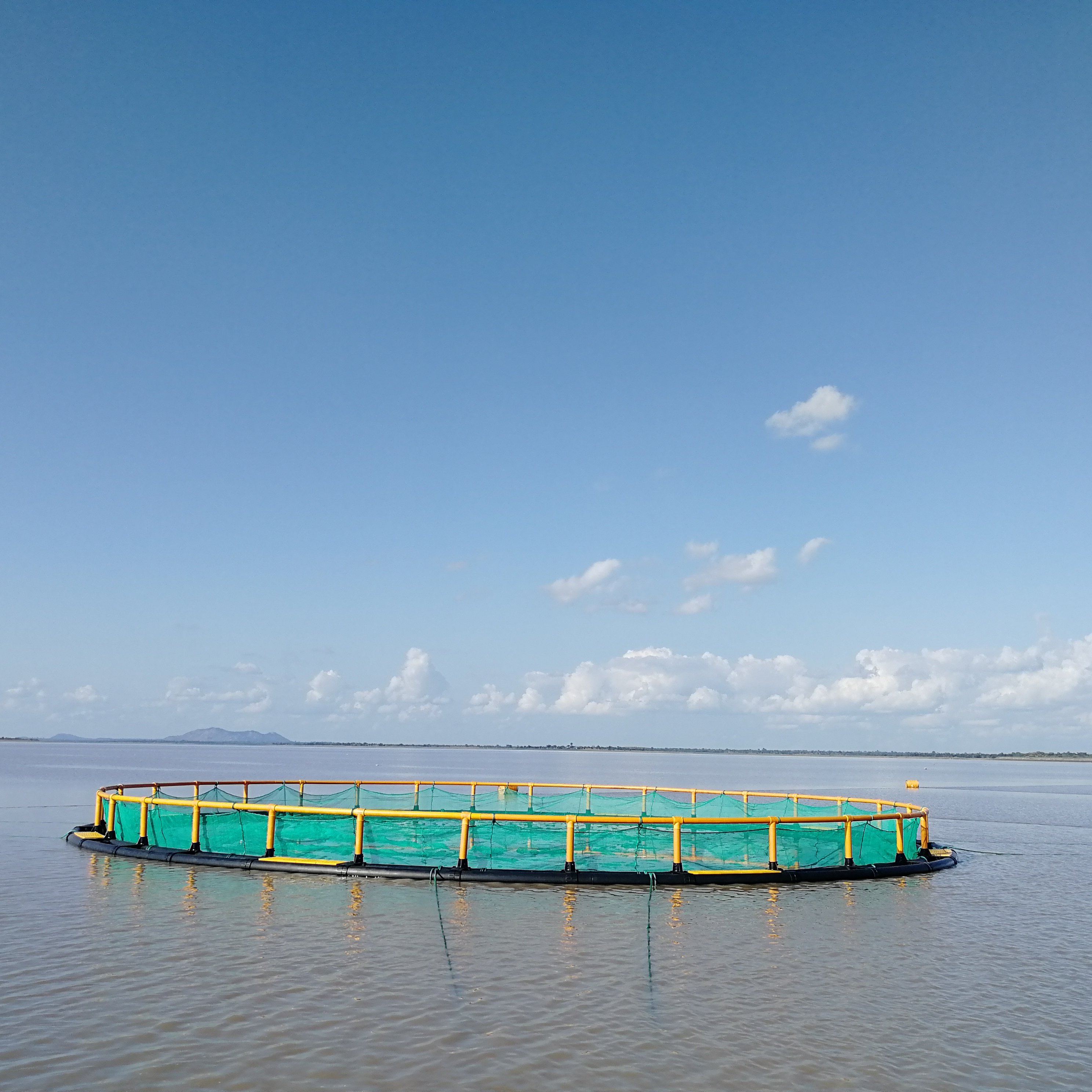 10X10 fish/farm cages Cameroon Comoros Cote d 'Ivoire