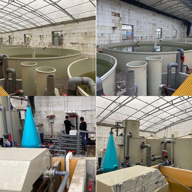 Customize size Indoor RAS Fish shrimp Aquaculture farming equipment