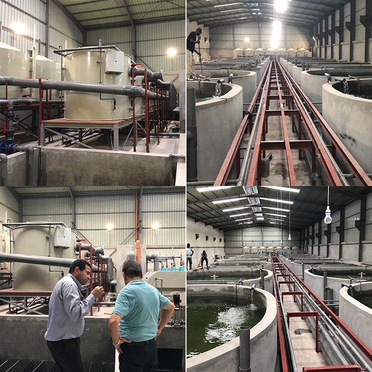 Customize size Indoor RAS Fish shrimp Aquaculture farming equipment