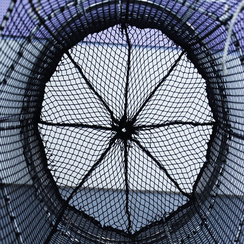 breeding net cage for tilapia fingerlings