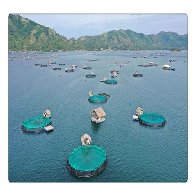 40 meters round hdpe floating aquaculture traps for agriculture fish farming