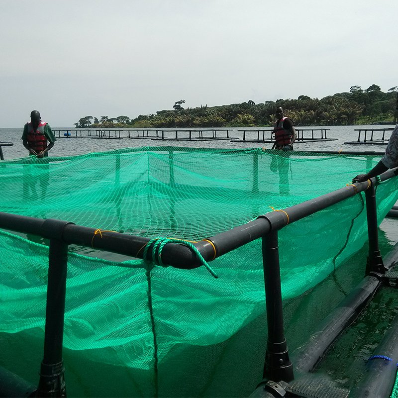 HDPE floating aquaculture trap fish culture net cage in Africa
