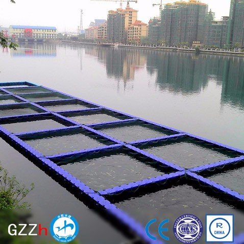 aquaculture projects aquaculture farm for sale aquaculture float