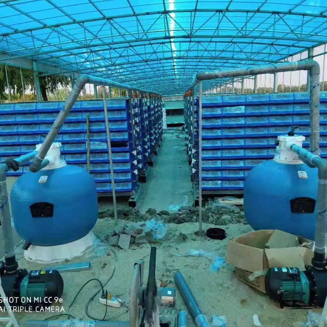 China factory customized plastic crab box for ras indoor farming RAS System