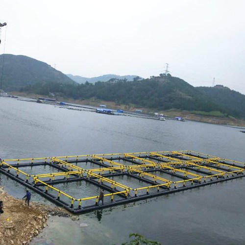 Hdpe Bracket Square Deep Sea Fish Farming Net Floating Cages for sale
