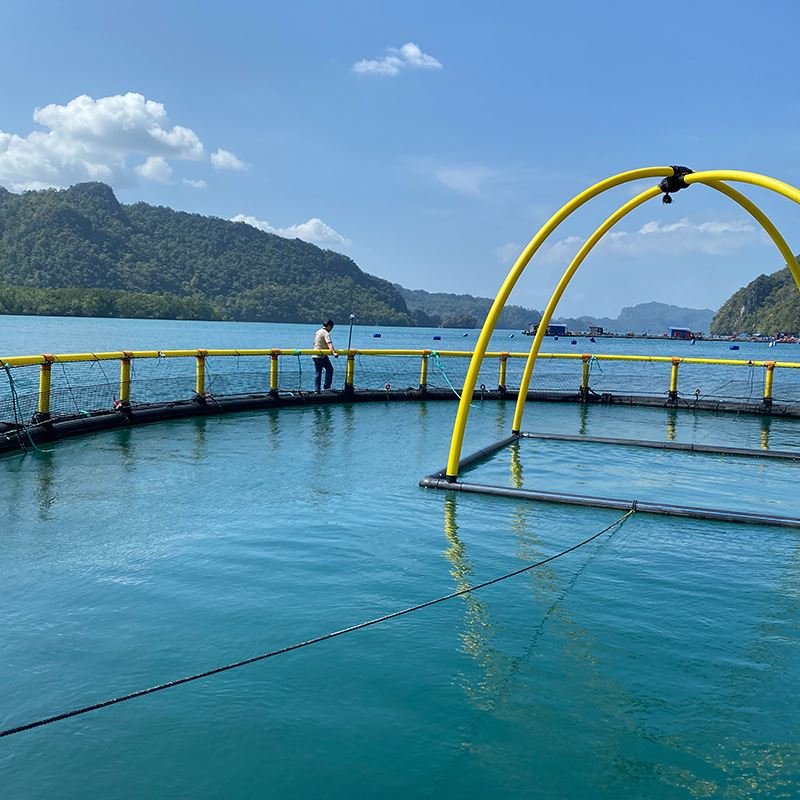 Ghana tilapia aquaculture fish farming cage