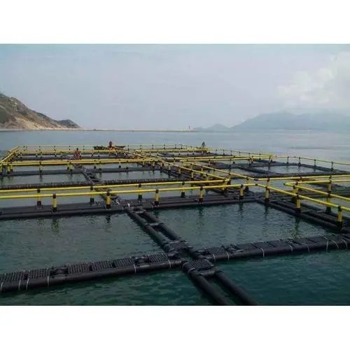 Lake/river Floating Fish Farm Cage Culture Lobster Traps Fishing Cage