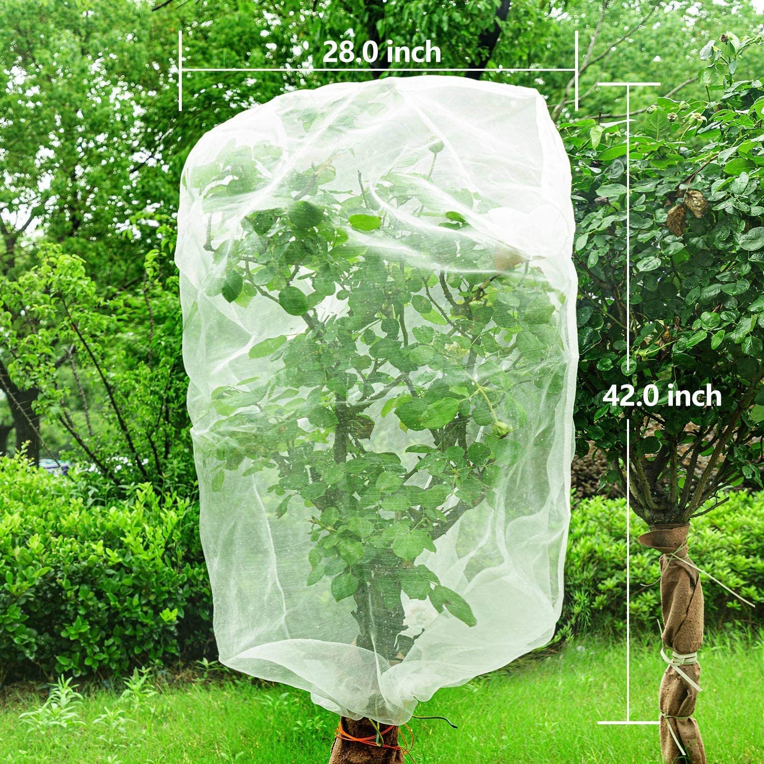 garden netting bag tomato protect insect proof greenhouse anti insect net for vegetable agricultural