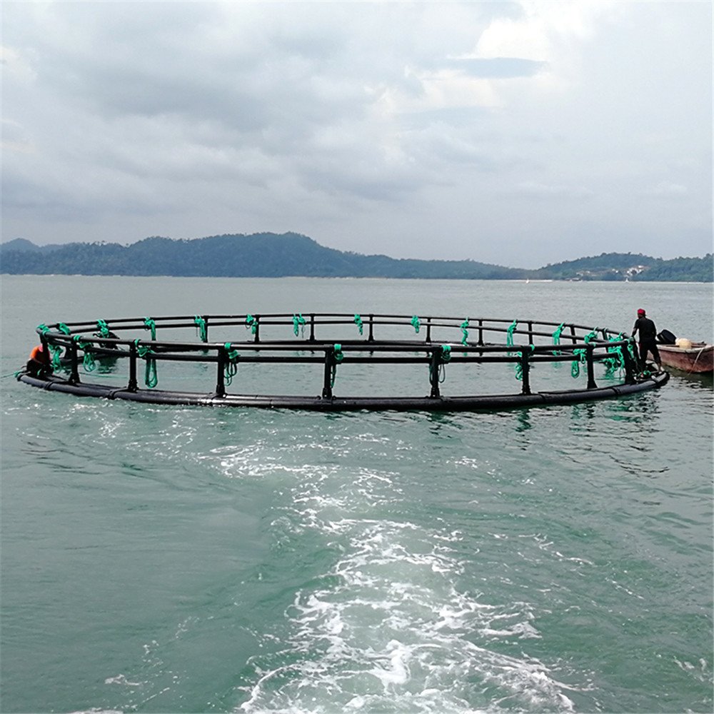 Floating fish farming cages for growing fish in rivers Aquaculture