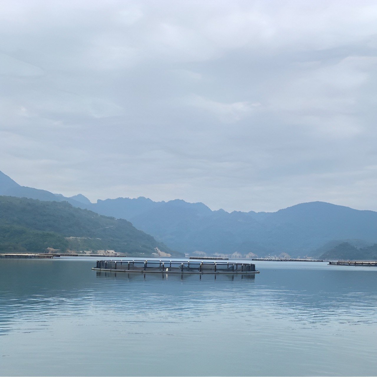 Floating Farm Fish Cage Design Hdpe Fish Cage Fish Farming Aquaculture Trap Made In Vietnam Manufacturer Wholesale