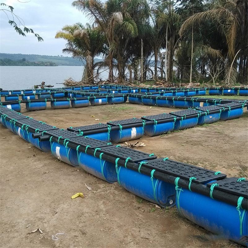 Circular Floating Sea Cage for culturing fish diameter 20m