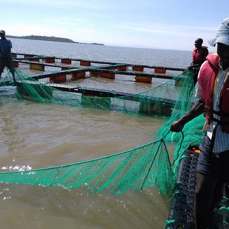 Square cage without handrails Floating Cage for fish farm diameter 10m 20m 30m 40m 50m