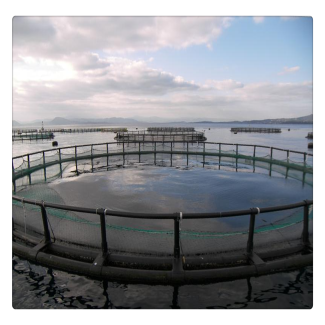 2022 fish cage for fish farming in deep water Floating fish cage bracket