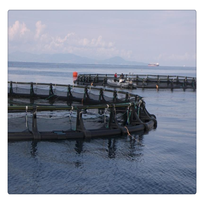 2022 fish cage for fish farming in deep water Floating fish cage bracket