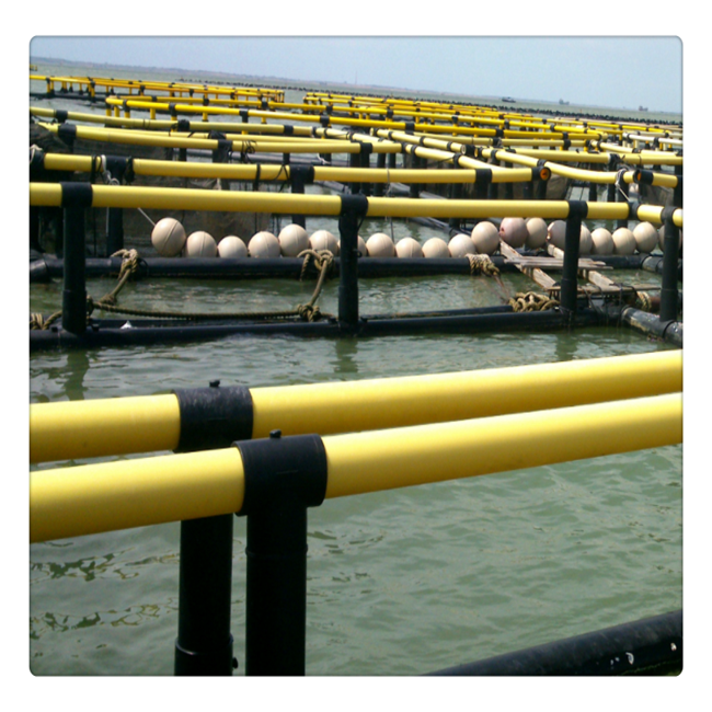 2022 fish cage for fish farming in deep water Floating fish cage bracket