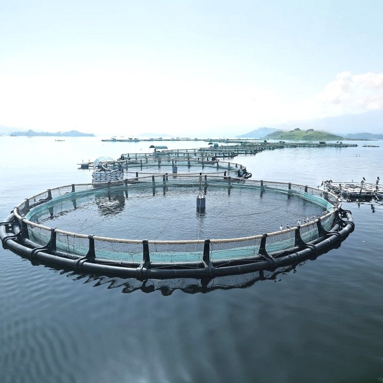 Aquaculture Floating Hdpe Bracket Pipe Fish Farming Pipe Cage Fish Hdpe In Uganda