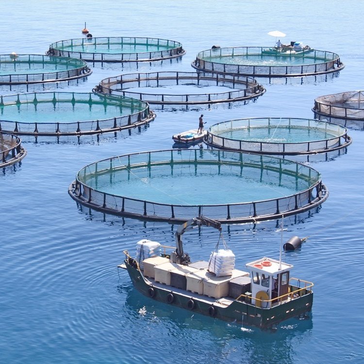 Aquaculture Floating Hdpe Bracket Pipe Fish Farming Pipe Cage Fish Hdpe In Uganda