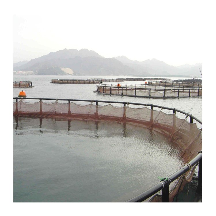 Aquaculture Floating Hdpe Bracket Pipe Fish Farming Pipe Cage Fish Hdpe In Uganda