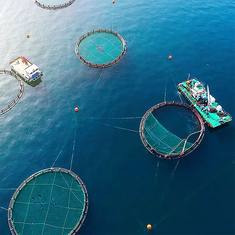 Aquaculture Floating Hdpe Bracket Pipe Fish Farming Pipe Cage Fish Hdpe In Uganda