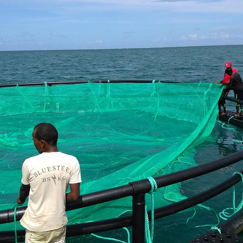 HDPE fish farm net cage, tilapia floating net cage