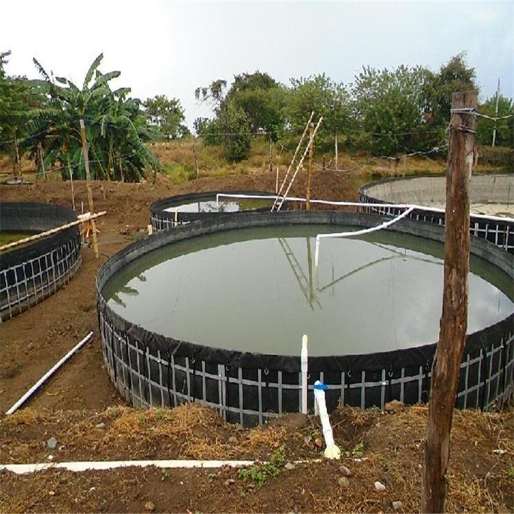 plastic tilapia foldable fish farming water biofloc tank geomembrane for aquaculture