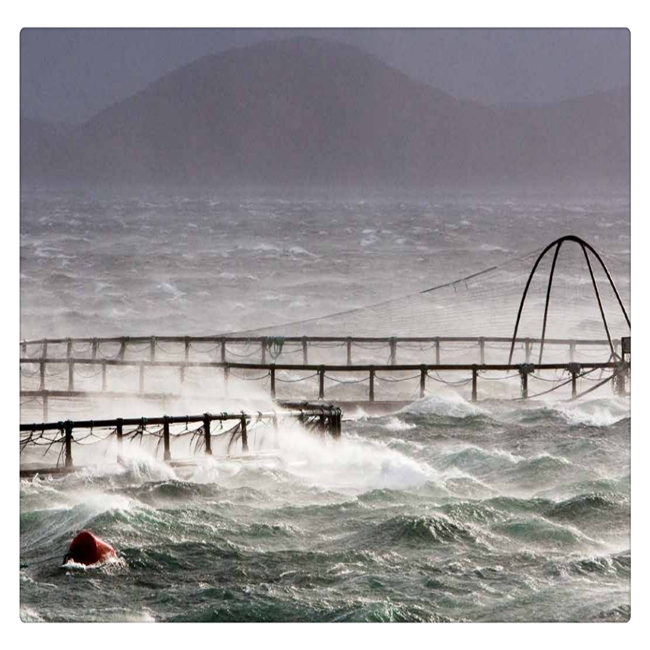 2022 aquaculture tanks fishing cage fisheries cages floating tilapia fish farming cage