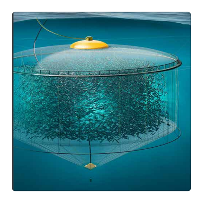 2022 aquaculture tanks fishing cage fisheries cages floating tilapia fish farming cage