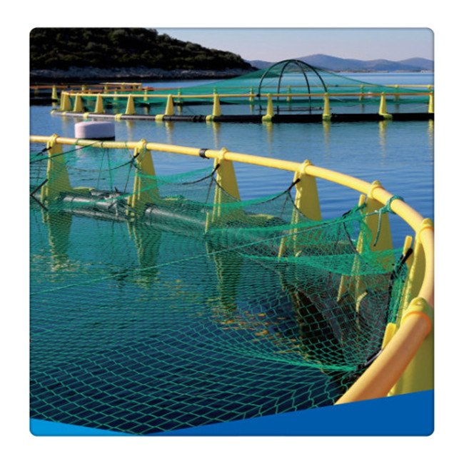 2022 aquaculture tanks fishing cage fisheries cages floating tilapia fish farming cage