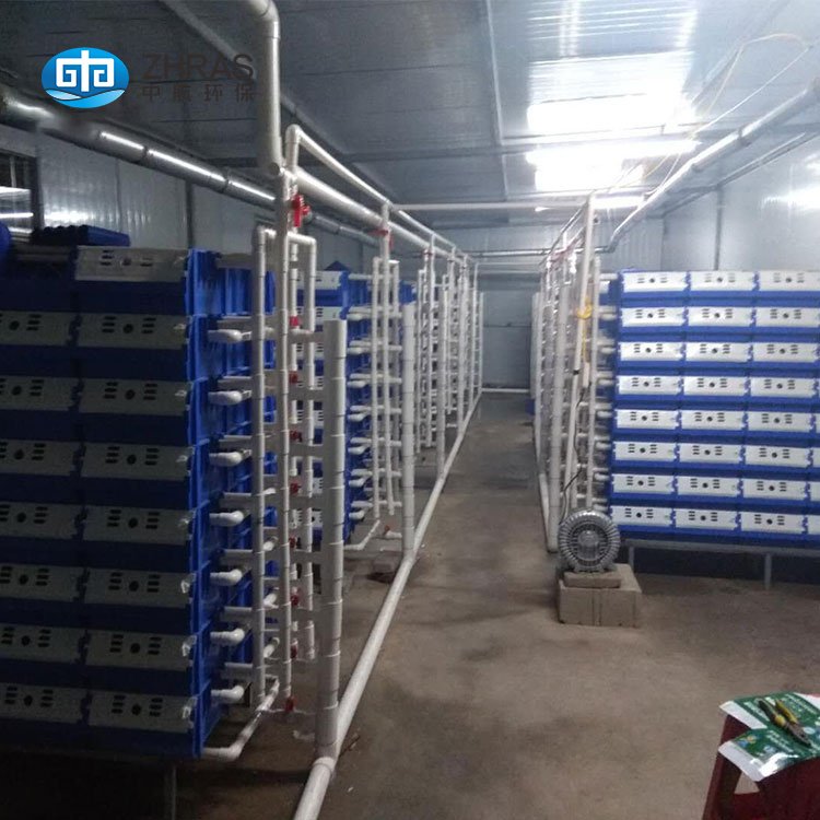 Guangzhou zhonghang factory high quality oem customized plastic crab box farming for ras aquaculture