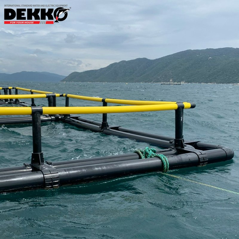 DEKKO HDPE Floating Aquaculture Cage Cheap Price Double Tube Square Fish Cage for Tilapia Fish Farming with Pattern Fishing Trap