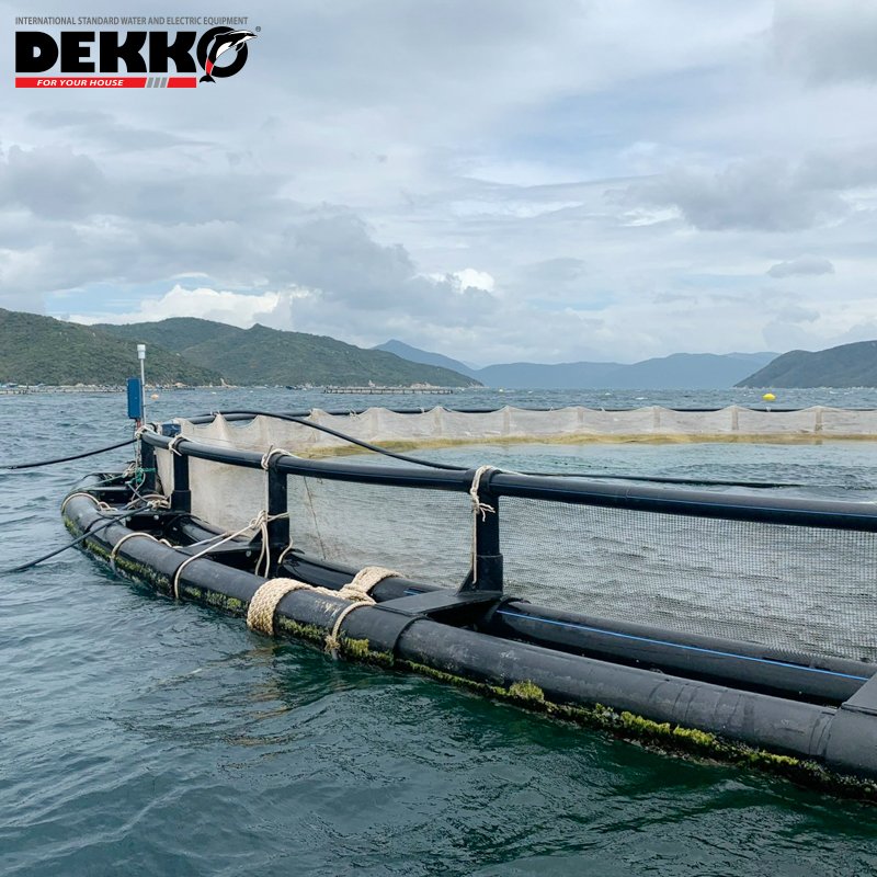 DEKKO HDPE Floating Aquaculture Cage Cheap Price Double Tube Square Fish Cage for Tilapia Fish Farming with Pattern Fishing Trap