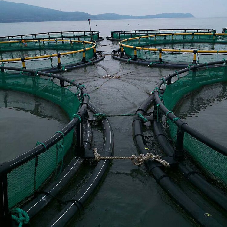 circular aquaculture net cage