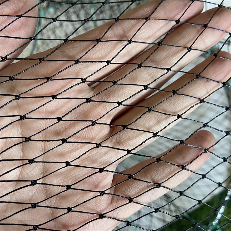 Ranch round Folding Stainless Steel Dungeness Wire Crab Trap for Fishing and Aquaculture