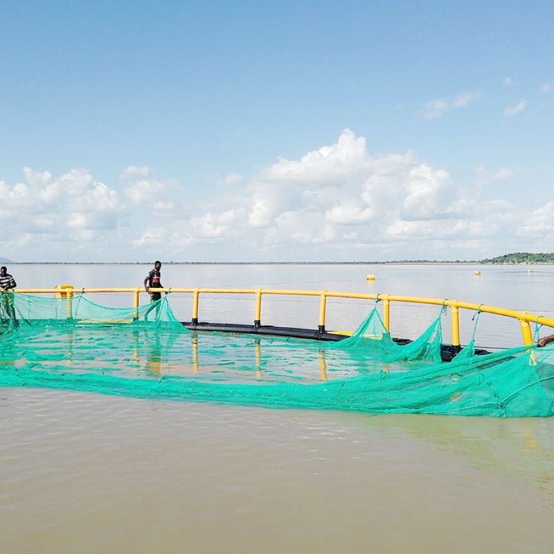 HDPE deep water fish farming round Cage with PE knotless net