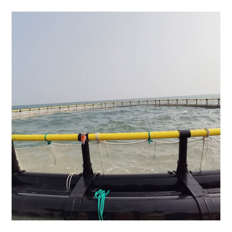 HDPE deep water fish farming round Cage with PE knotless net